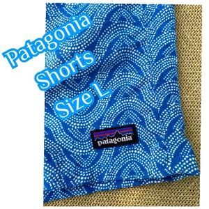 Patagonia  women’s  blue/ white  size L